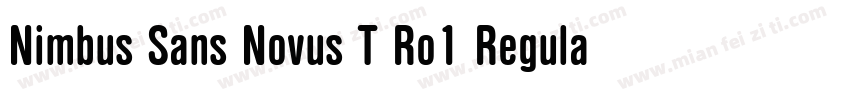 Nimbus Sans Novus T Ro1 Regular Ita字体转换